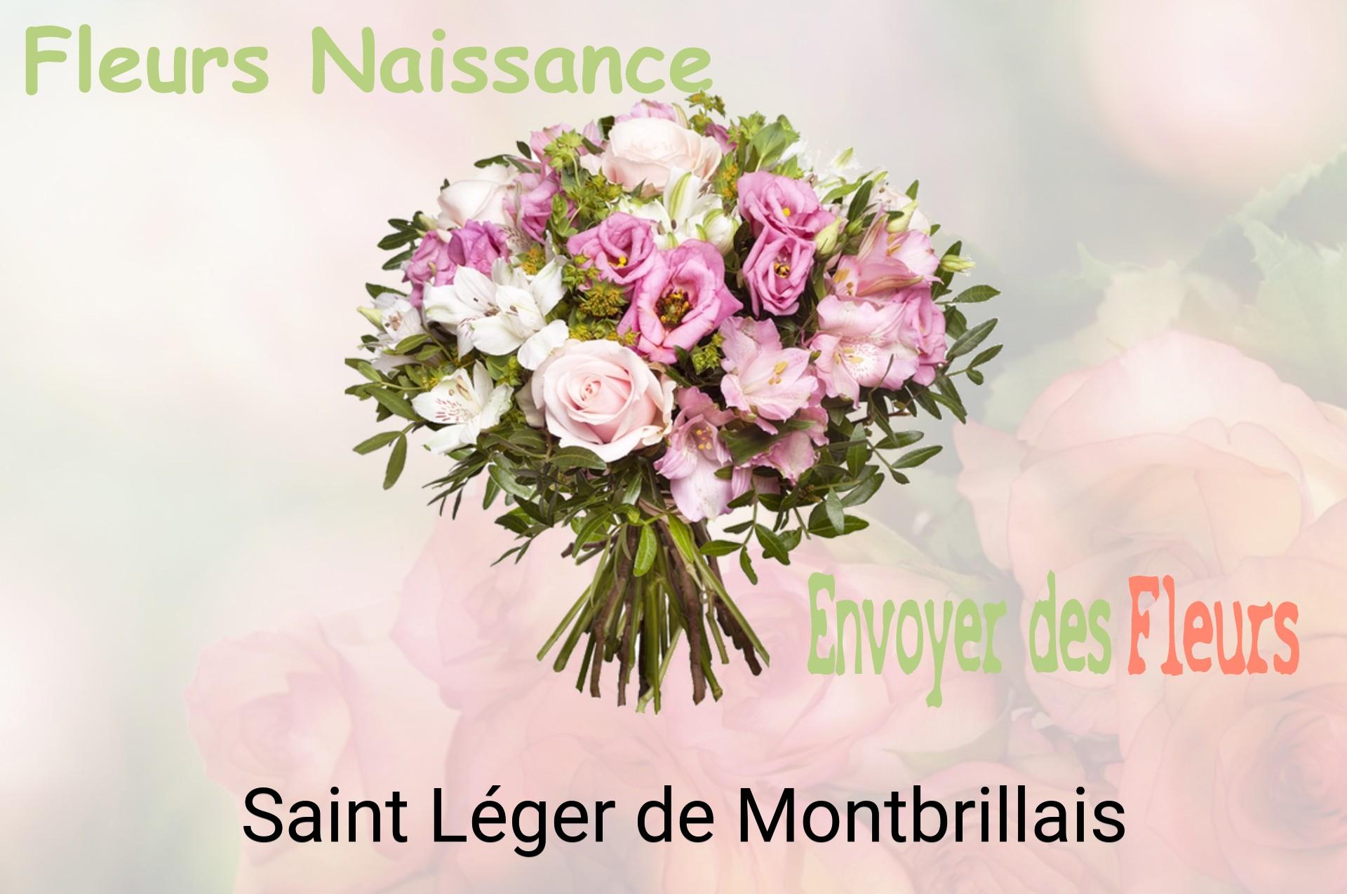 Bouquet de fleurs de naissance livré à Saint-Léger-de-Montbrillais